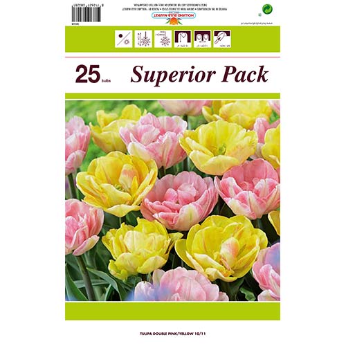 Super ponuka! Sada tulipánov z 2 odrôd obrázok 1 artikel 70316