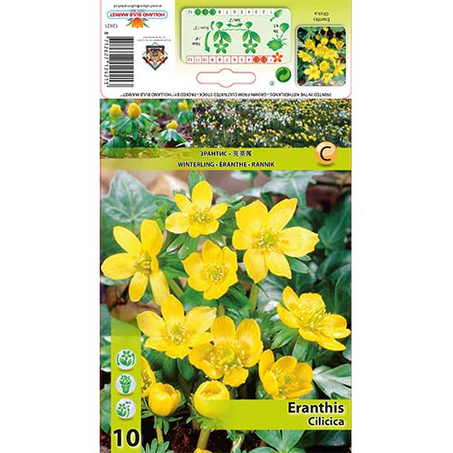 Talovín Cilicica obrázok 1 artikel 70313