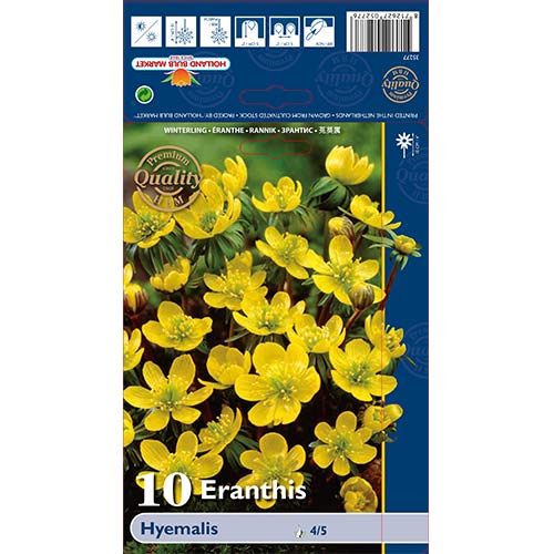 Talovín Hyemalis obrázok 1 artikel 68052