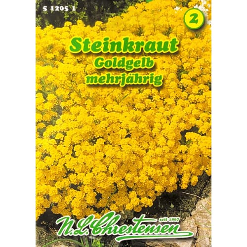 Taričník skalný Goldkorbchen artikel fotografia 1 Taričník skalný Goldkorbchen obrázok 1 artikel 78969