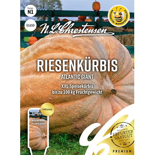 Tekvica Atlantic Giant obrázok 1 artikel 87848