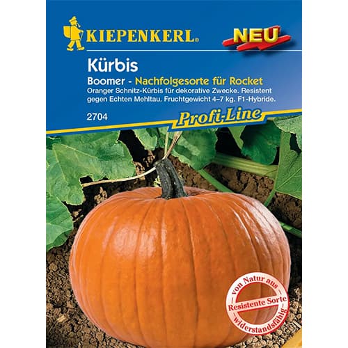 Tekvica Boomer F1 obrázok 1 artikel 87786