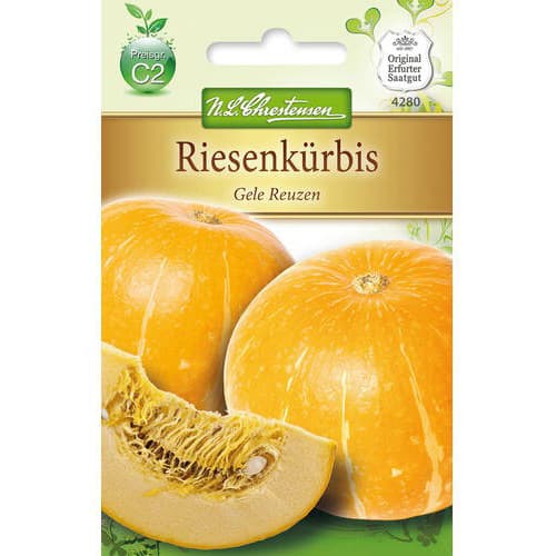 Tekvica Gele Reuzen obrázok 1 artikel 78795