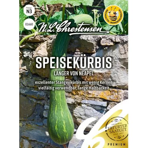 Tekvica Langer von Neapel obrázok 1 artikel 96496