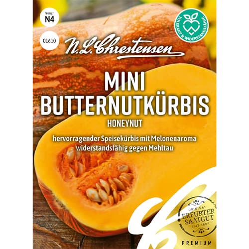 Tekvica muškátová mini Honeynut artikel fotografia 1 Tekvica muškátová mini Honeynut obrázok 1 artikel 86061