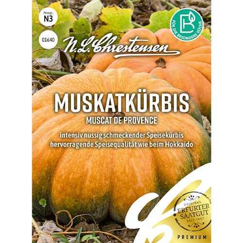 Tekvica muškátová Muscat de Provence obrázok 1 artikel 86071