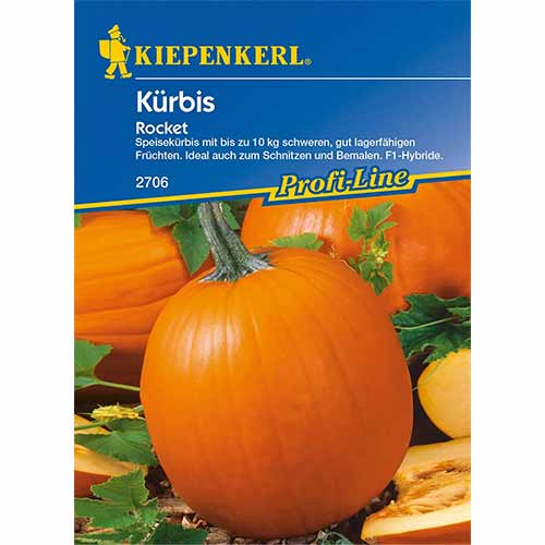 Tekvica muškátová Rocket F1 obrázok 1 artikel 96629