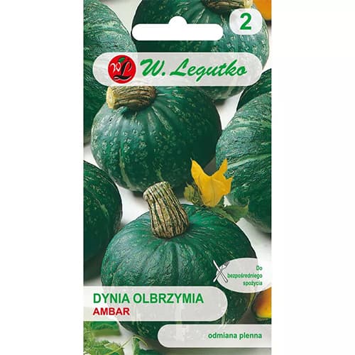 Tekvica obrovská Ambar obrázok 1 artikel 78453