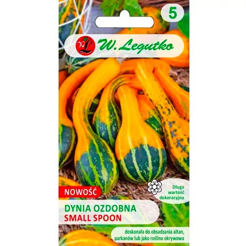 Tekvica okrasná Small Spoon obrázok 1 artikel 96769