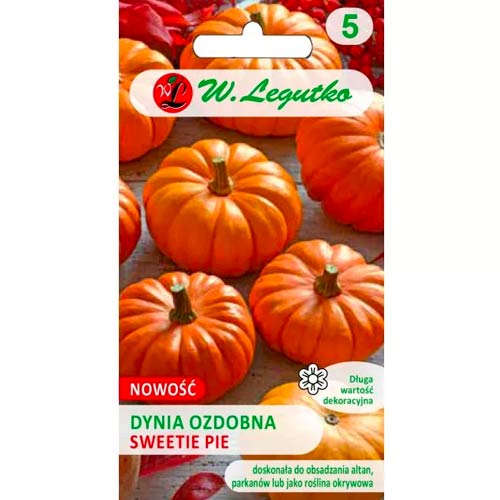 Tekvica okrasná Sweetie Pie obrázok 1 artikel 96770