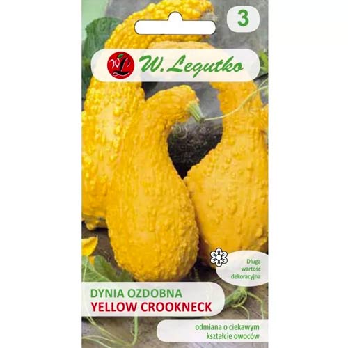 Tekvica okrasná Yellow Croockneck obrázok 1 artikel 96739