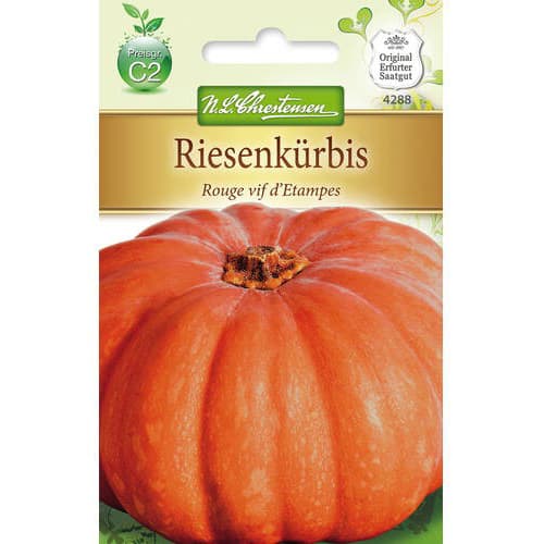 Tekvica Rouge vif d´Etampes obrázok 1 artikel 78797