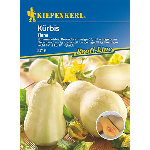 Tekvica Tiana F1 obrázok 1 artikel 87282