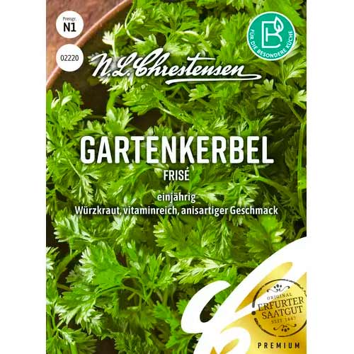 Trebuľka pravá Frise obrázok 1 artikel 50044