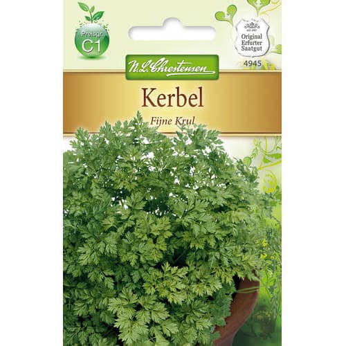 Trebuľka siata Fijne Krul obrázok 1 artikel 78854