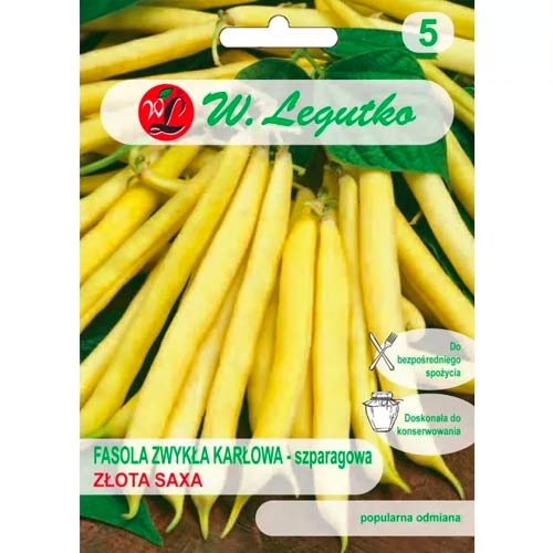 Trpasličie zelené fazuľky Złota Saxa obrázok 1 artikel 50129