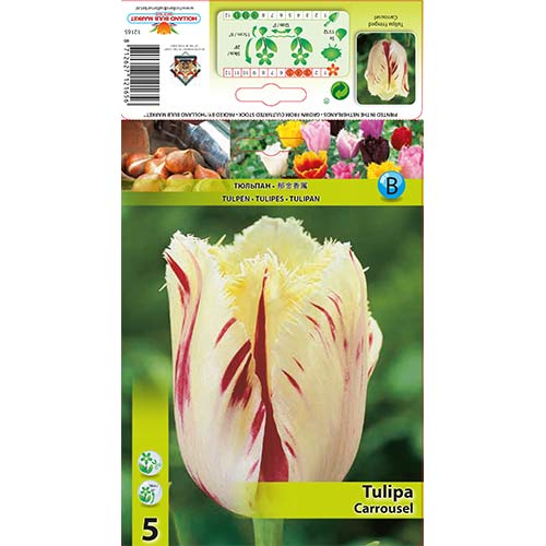 Tulipán Carrousel obrázok 1 artikel 70298