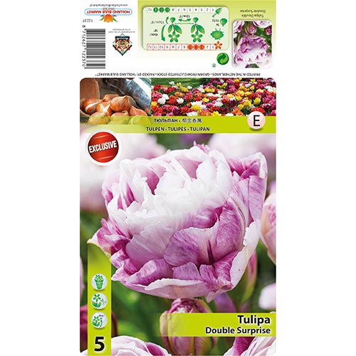 Tulipán Double Surprise obrázok 1 artikel 68405