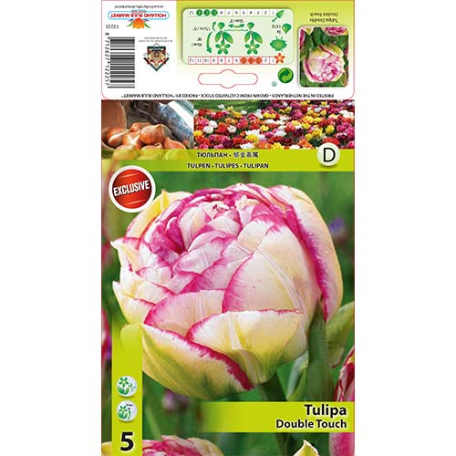 Tulipán Double Touch obrázok 1 artikel 67458