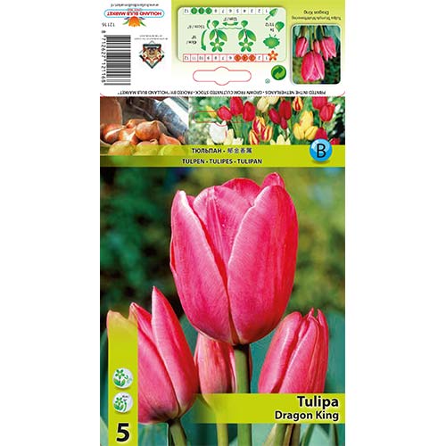 Tulipán Dragon King artikel fotografia 1 Tulipán Dragon King obrázok 1 artikel 67729