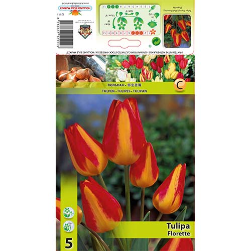 Tulipán Florette obrázok 1 artikel 70305