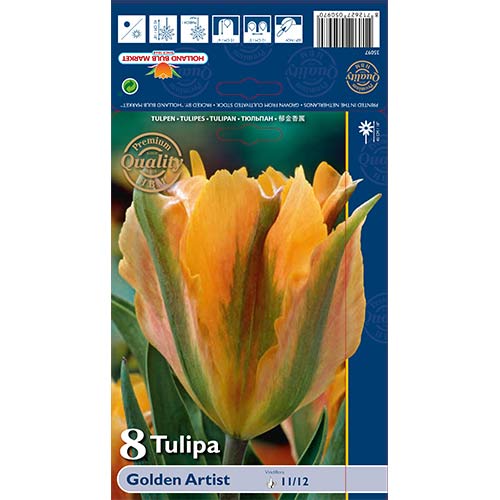 Tulipán Golden Artist artikel fotografia 1 Tulipán Golden Artist obrázok 1 artikel 68032