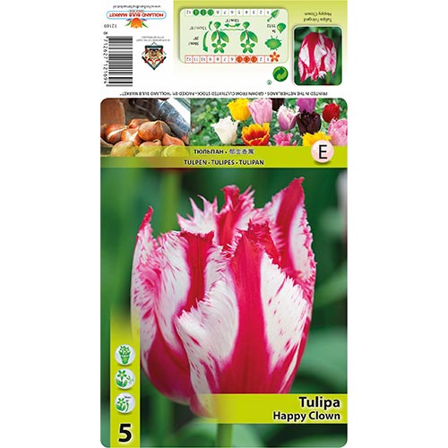 Tulipán Happy Clown obrázok 1 artikel 68398