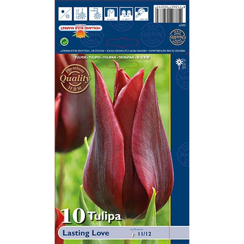 Tulipán Lasting Love obrázok 1 artikel 68035