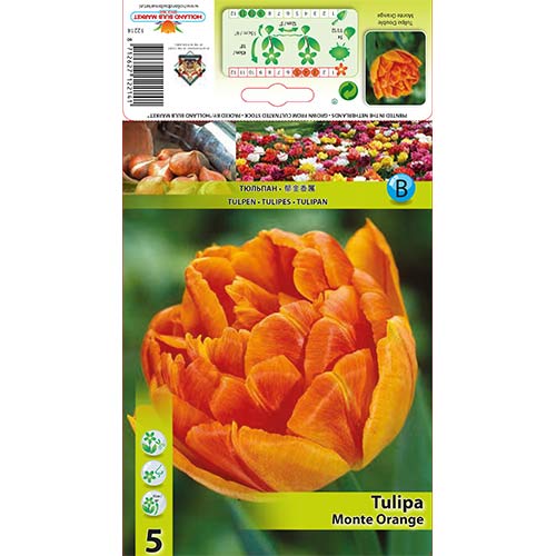 Tulipán Monte Orange obrázok 1 artikel 67774