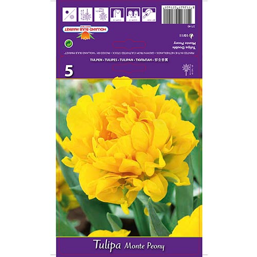Tulipán Monte Peony obrázok 1 artikel 67775