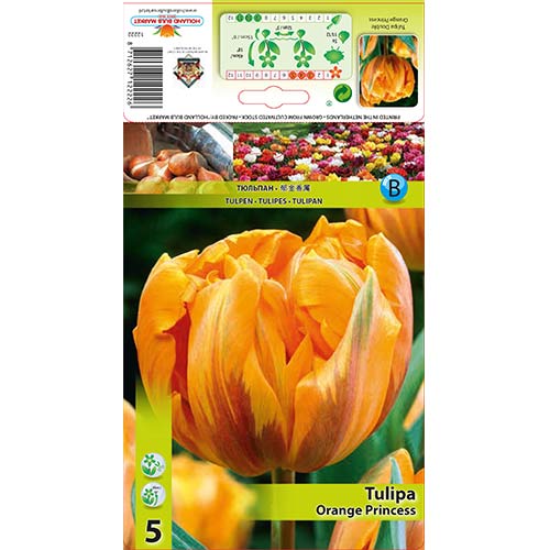 Tulipán Orange Princess obrázok 1 artikel 67781