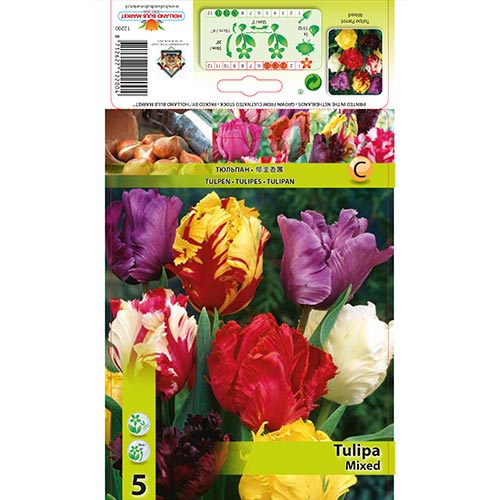 Tulipán papagájový, mix artikel fotografia 1 Tulipán papagájový, mix obrázok 1 artikel 67874