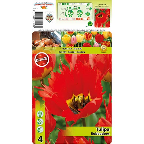 Tulipán Robbedoes artikel fotografia 1 Tulipán Robbedoes obrázok 1 artikel 68399