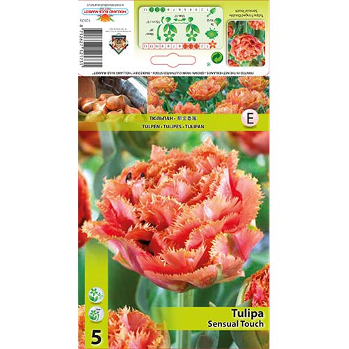 Tulipán Sensual Touch obrázok 1 artikel 67831