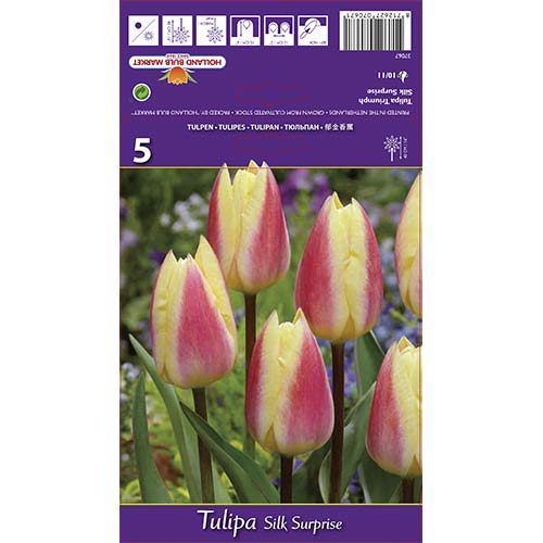 Tulipán Silk Surprise obrázok 1 artikel 68117