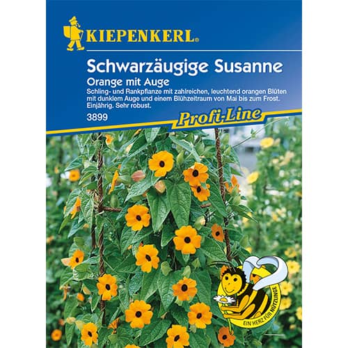 Tunbergia krídlatá Orange mit Auge obrázok 1 artikel 86311