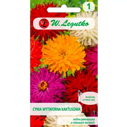 Údolná ľalia Kaktus, směs obrázok 1 artikel 86820