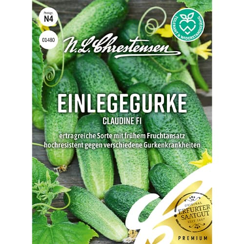 Uhorka Claudine F1 obrázok 1 artikel 86034