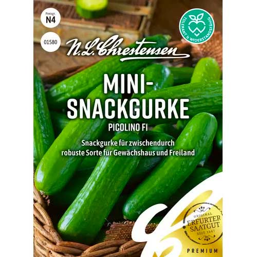 Uhorka obyčajná Picolino F1 obrázok 1 artikel 86528