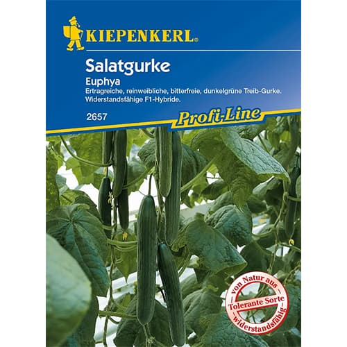 Uhorka šalátová Euphya F1 obrázok 1 artikel 86521
