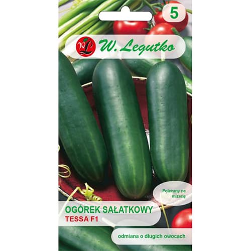 Uhorka šalátová poľná Tessa F1 obrázok 1 artikel 86884