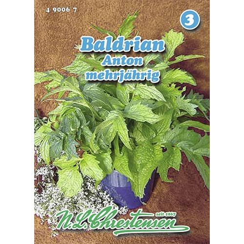 Valeriána lekárska Anton obrázok 1 artikel 96463