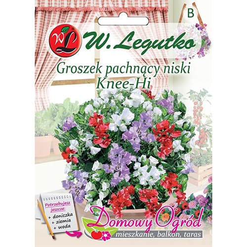 Voňavý hrášok Knee-Hi obrázok 1 artikel 69642