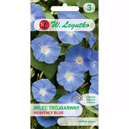 Wilec (Plazivá svätojánska) Heavenly Blue modrý obrázok 1 artikel 78595