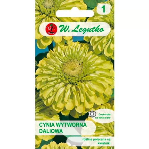 Závisť bezu čiernej (Elderflower Envy) artikel fotografia 1 Závisť bezu čiernej (Elderflower Envy) obrázok 1 artikel 78544