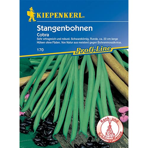 Zelená fazuľa tyczna Cobra artikel fotografia 1 Zelená fazuľa tyczna Cobra obrázok 1 artikel 96679