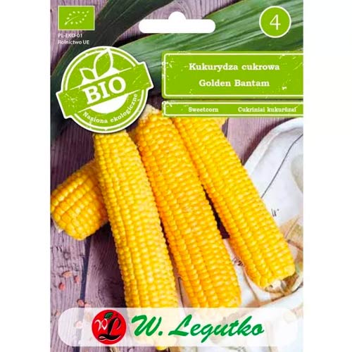 Zlatá bantamová sladká kukurica obrázok 1 artikel 50131