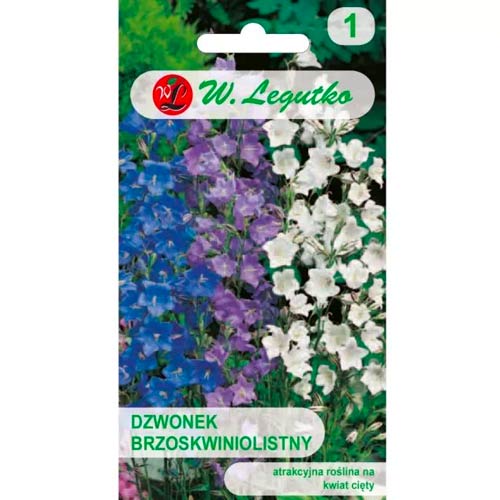 Zvonček broskyňolistý, směs obrázok 1 artikel 50094