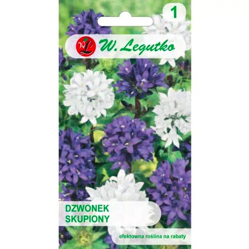 Zvonček sústredený, směs obrázok 1 artikel 50098