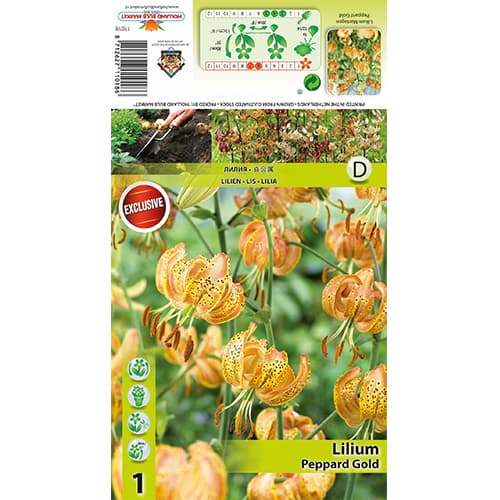 Ľalia Peppart Gold artikel fotografia 1 Ľalia Peppart Gold obrázok 1 artikel 77823